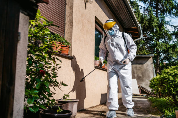 Best Mosquito Control Services  in Hickory Creek, TX