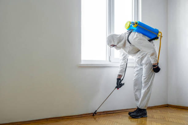 Best Pest Prevention Services  in Hickory Creek, TX