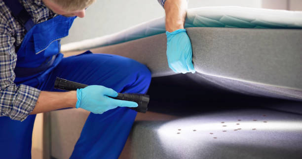 Pest Control for Restaurants in Hickory Creek, TX